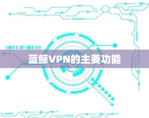 蓝鲸VPN的主要功能