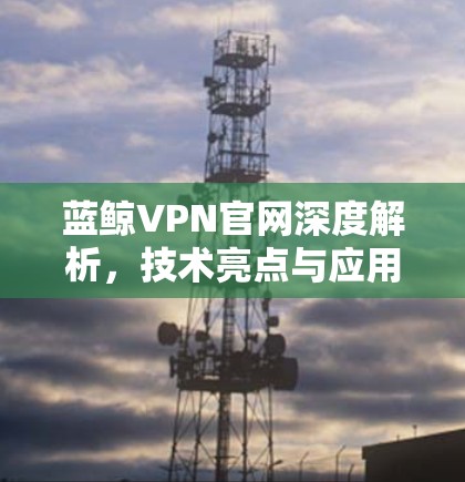 蓝鲸VPN官网深度解析，技术亮点与应用场景分析