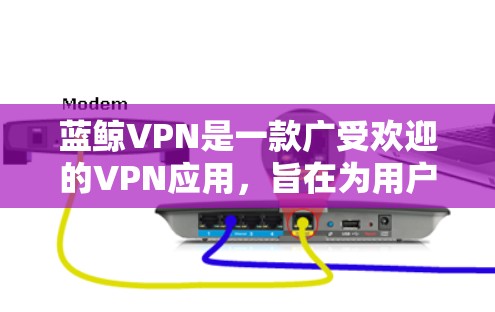 蓝鲸VPN是一款广受欢迎的VPN应用，旨在为用户提供安全、快速的网络连接。以下是一些关于蓝鲸VPN的详细信息