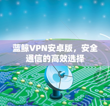 蓝鲸VPN安卓版，安全通信的高效选择