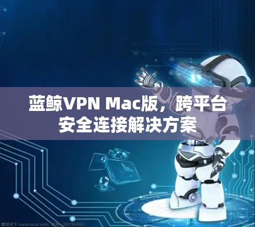 蓝鲸VPN Mac版，跨平台安全连接解决方案