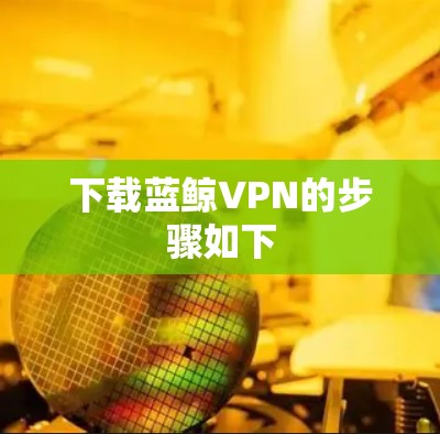 下载蓝鲸VPN的步骤如下