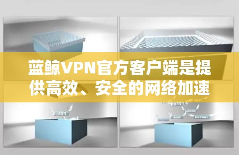 蓝鲸VPN官方客户端是提供高效、安全的网络加速服务的应用程序，用户可以通过它轻松接入互联网，解决网络连接问题。以下是关于蓝鲸VPN官方客户端的一些详细信息
