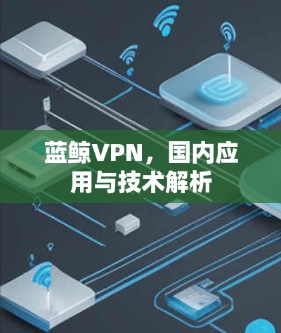 蓝鲸VPN，国内应用与技术解析