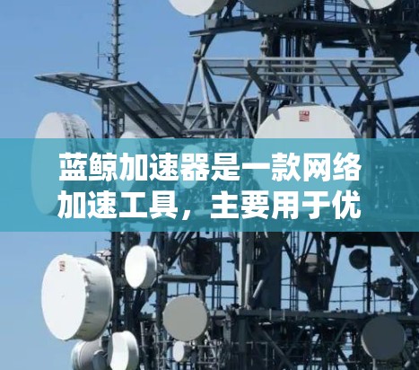 蓝鲸加速器是一款网络加速工具，主要用于优化网络连接速度和稳定性。对于安卓用户，蓝鲸加速器的安卓版可以通过以下方式获取
