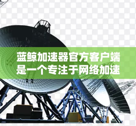蓝鲸加速器官方客户端是一个专注于网络加速和数据传输优化的工具，旨在帮助用户快速访问网络资源，提升数据传输性能。以下是关于蓝鲸加速器官方客户端的详细介绍和操作指南