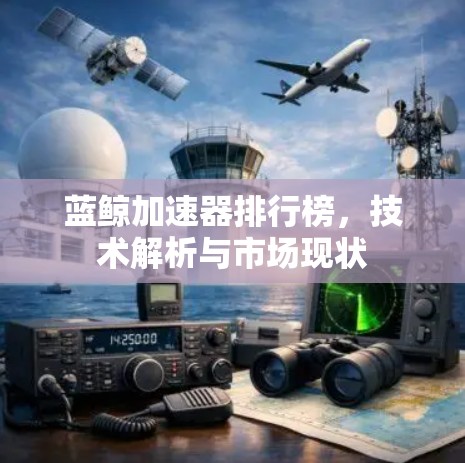 蓝鲸加速器排行榜，技术解析与市场现状