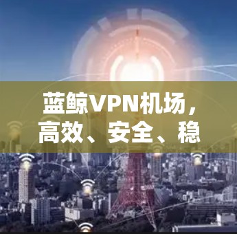 蓝鲸VPN机场，高效、安全、稳定
