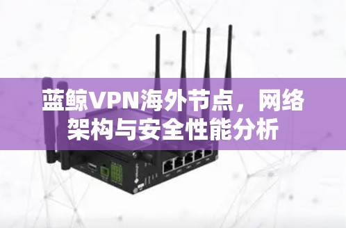 蓝鲸VPN海外节点，网络架构与安全性能分析