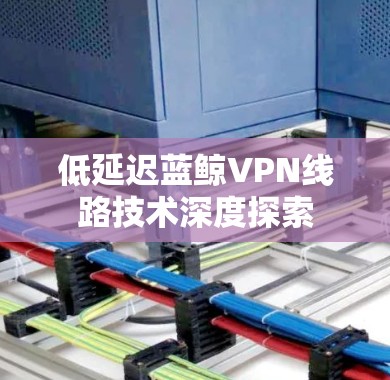低延迟蓝鲸VPN线路技术深度探索