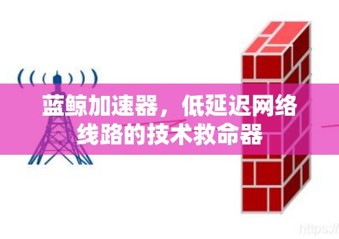 蓝鲸加速器，低延迟网络线路的技术救命器