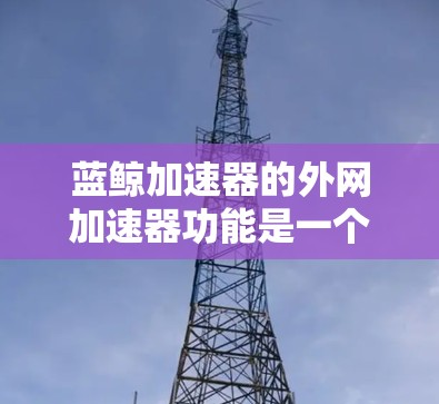蓝鲸加速器的外网加速器功能是一个综合性的网络优化解决方案，旨在提升外部网络访问的效率和性能。以下是对其功能、用户场景、安全性、用户体验和兼容性的详细分析