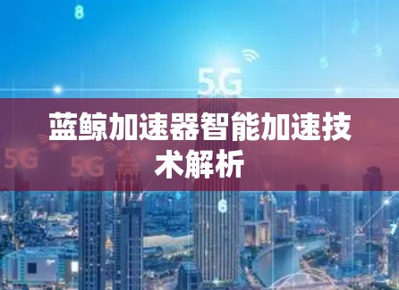 蓝鲸加速器智能加速技术解析