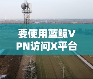 要使用蓝鲸VPN访问X平台，具体操作步骤如下