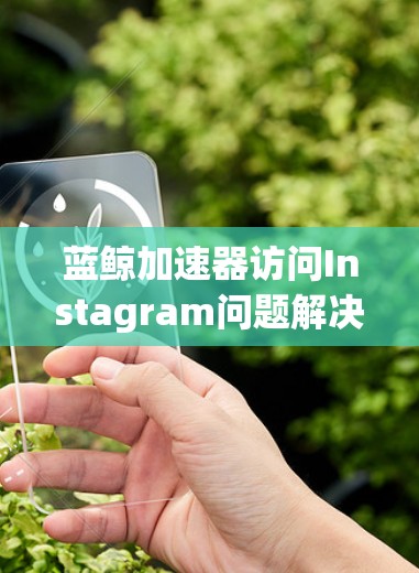 蓝鲸加速器访问Instagram问题解决方案