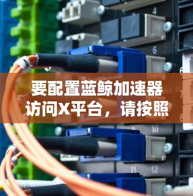 要配置蓝鲸加速器访问X平台，请按照以下步骤操作
