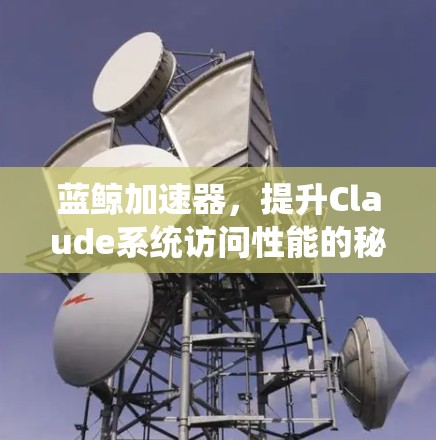 蓝鲸加速器，提升Claude系统访问性能的秘密武器