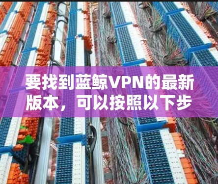 要找到蓝鲸VPN的最新版本，可以按照以下步骤操作