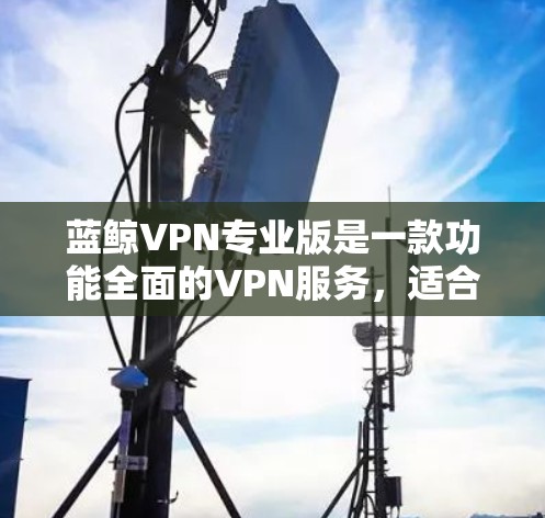 蓝鲸VPN专业版是一款功能全面的VPN服务，适合需要多设备同时连接、追求高隐私保护和稳定连接速度的用户。以下是对蓝鲸VPN专业版的详细分析和总结