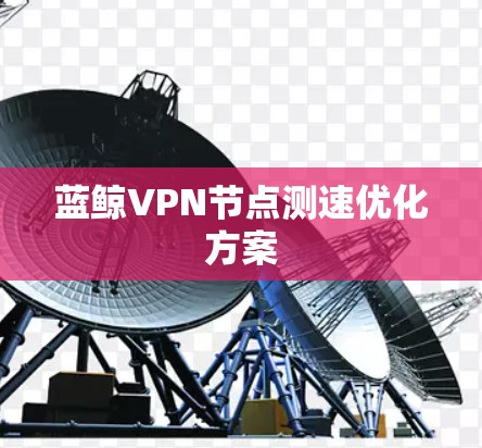 蓝鲸VPN节点测速优化方案