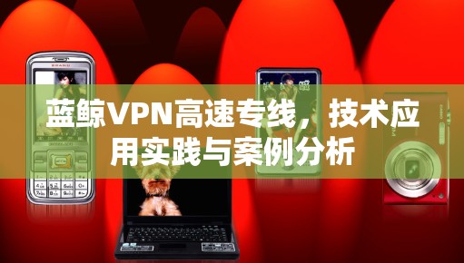 蓝鲸VPN高速专线，技术应用实践与案例分析