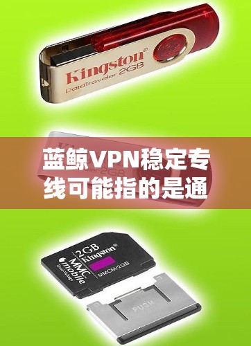蓝鲸VPN稳定专线可能指的是通过蓝鲸VPN服务提供的稳定、高效的网络连接线路，通常用于企业内部网络管理或高需求网络连接场景