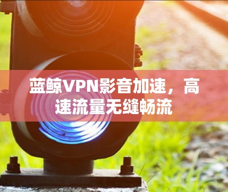 蓝鲸VPN影音加速，高速流量无缝畅流