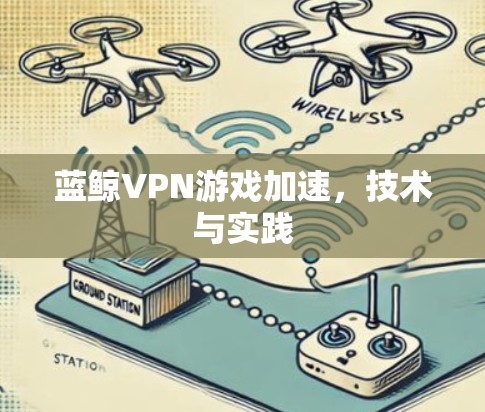 蓝鲸VPN游戏加速，技术与实践