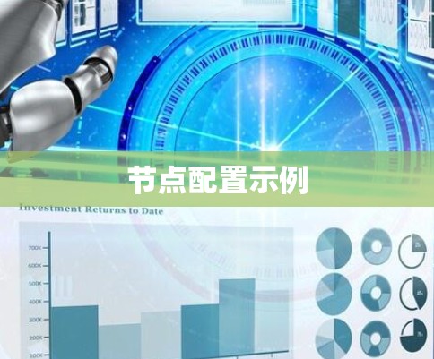 节点配置示例
