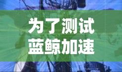 为了测试蓝鲸加速器节点的性能，以下是一步步的指南