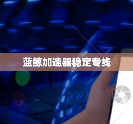 蓝鲸加速器稳定专线