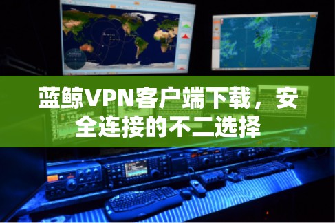 蓝鲸VPN客户端下载，安全连接的不二选择