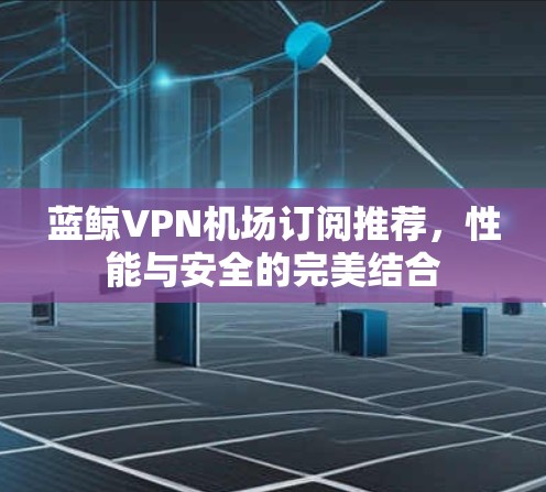 蓝鲸VPN机场订阅推荐，性能与安全的完美结合