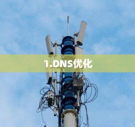 1.DNS优化