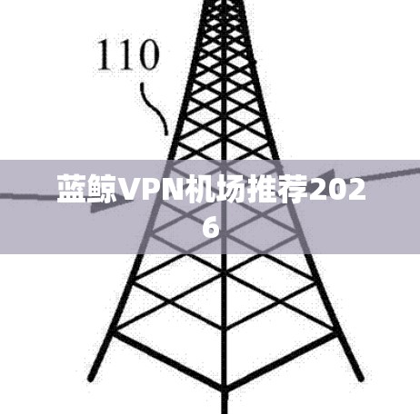 蓝鲸VPN机场推荐2026