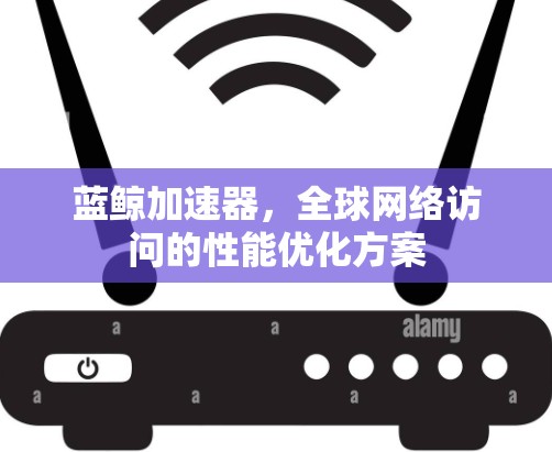 蓝鲸加速器，全球网络访问的性能优化方案