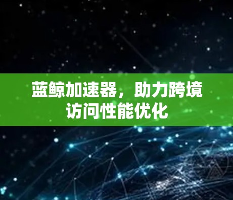 蓝鲸加速器，助力跨境访问性能优化