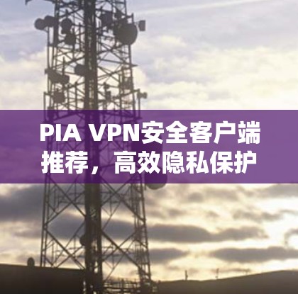 PIA VPN安全客户端推荐，高效隐私保护的通信利器