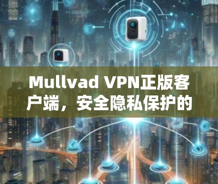 Mullvad VPN正版客户端，安全隐私保护的最佳选择