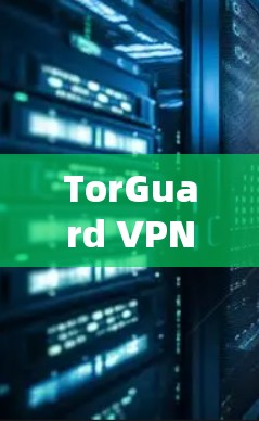 TorGuard VPN 是一款高端的商业 VPN 服务，旨在为用户提供安全、隐私保护的网络连接。它由 TorGuard 公司开发，专注于为个人和企业用户提供高性能的加密网络服务