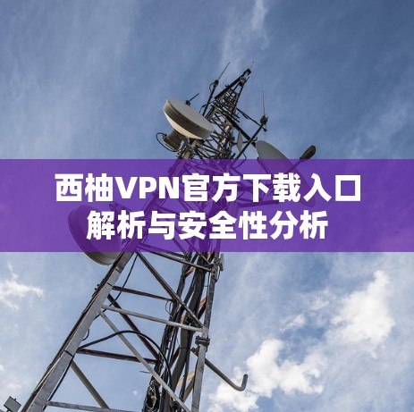 西柚VPN官方下载入口解析与安全性分析