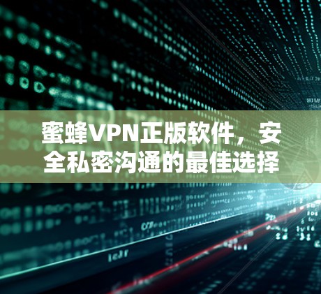 蜜蜂VPN正版软件，安全私密沟通的最佳选择
