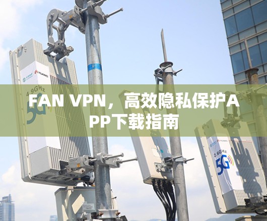 FAN VPN，高效隐私保护APP下载指南