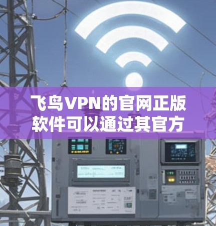 飞鸟VPN的官网正版软件可以通过其官方网站下载。以下是您可以访问的官网链接以及一些相关信息