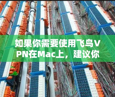 如果你需要使用飞鸟VPN在Mac上，建议你