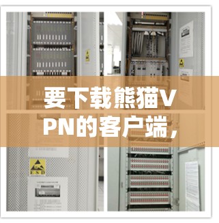 要下载熊猫VPN的客户端，可以按照以下步骤操作