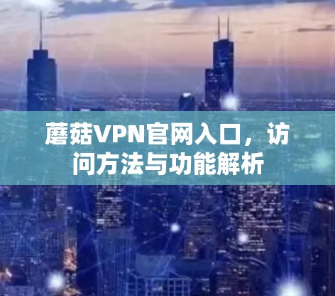 蘑菇VPN官网入口，访问方法与功能解析