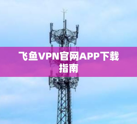 飞鱼VPN官网APP下载指南