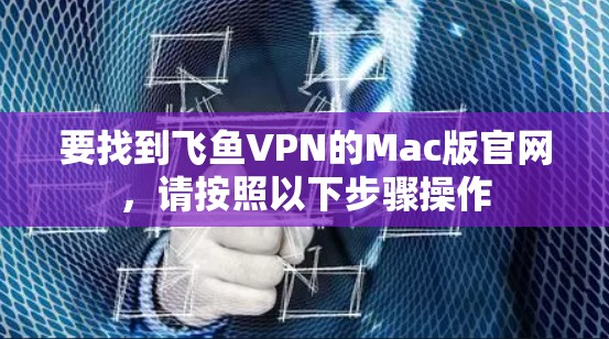 要找到飞鱼VPN的Mac版官网，请按照以下步骤操作
