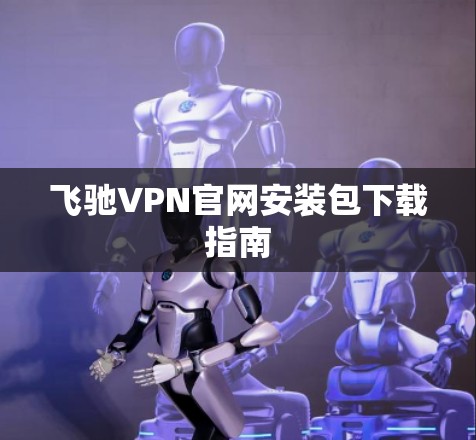 飞驰VPN官网安装包下载指南
